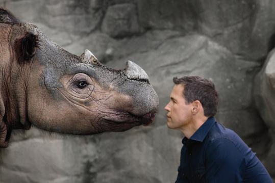 Cover of 100 Heartbeats