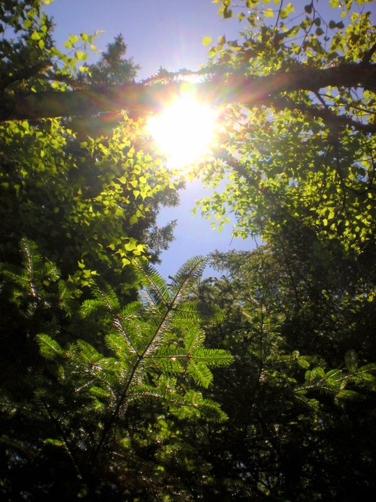 His Best Work in the&nbsp;Mud