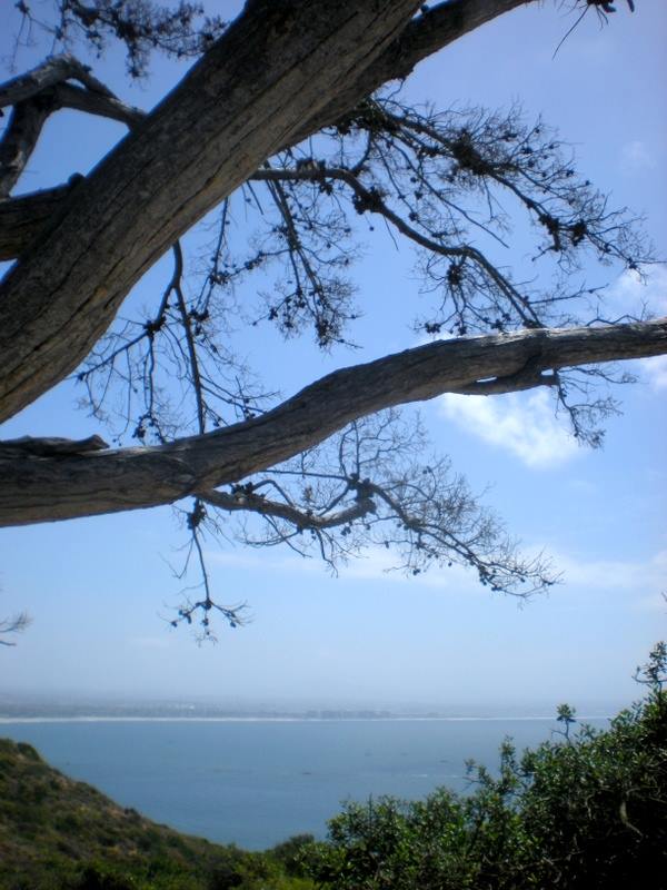 His Time or&nbsp;Mine?