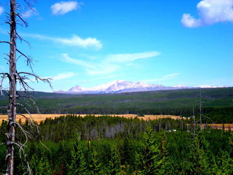 My Arms can Bend a Bow of&nbsp;Bronze