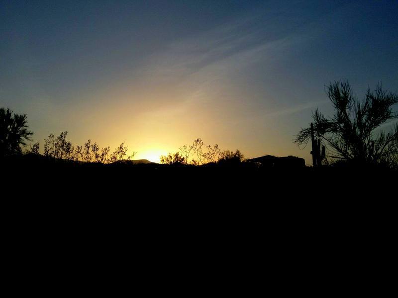 Dear Younger me Stop Guessing and&nbsp;Wait