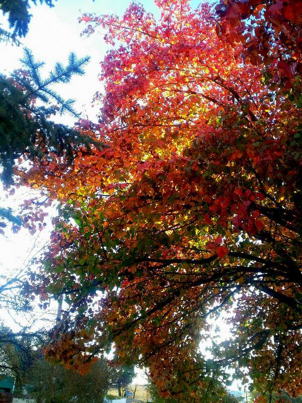 Dear Younger me,&nbsp;Surprise!