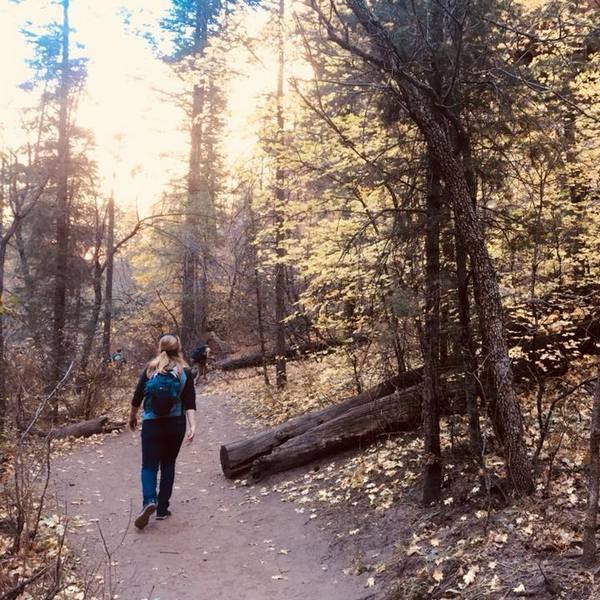 Dear Younger me, the Adventure on your&nbsp;Own