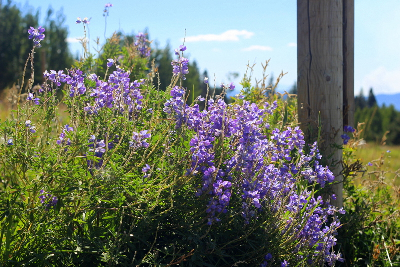 Dear Younger me, Love those who Love&nbsp;Well…