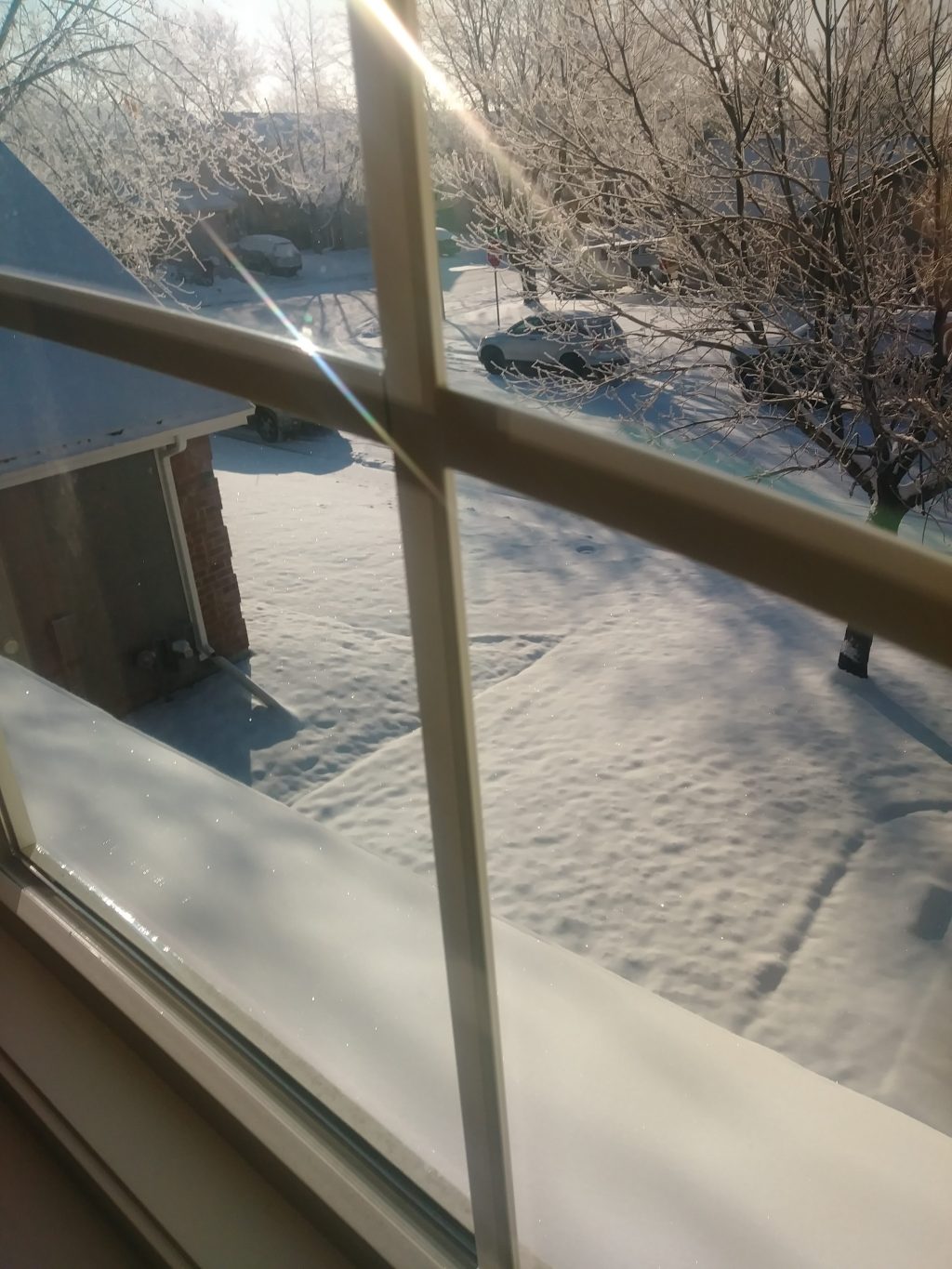 Spiritual Truths about Trees: Change is&nbsp;Beautiful