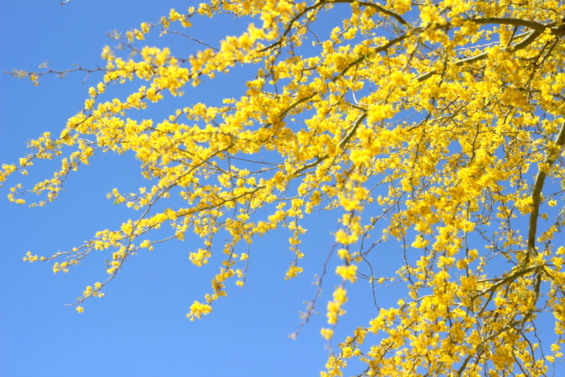 The Spiritual Truth about Trees: Doubt Not the&nbsp;Seasons