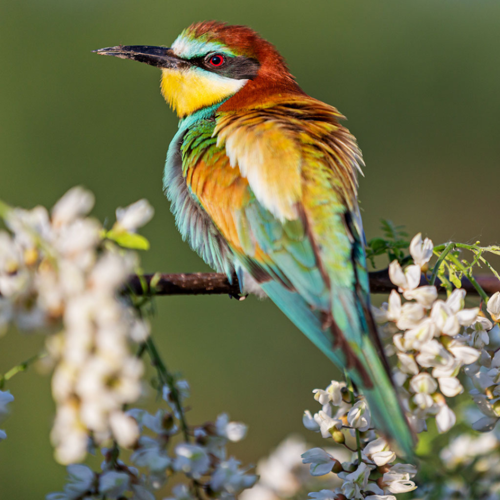 Rewiring the Brain: Reminders to your&nbsp;Soul