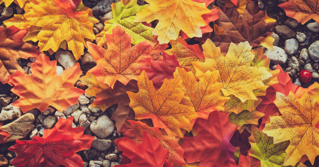 Do not Fear&nbsp;Decay