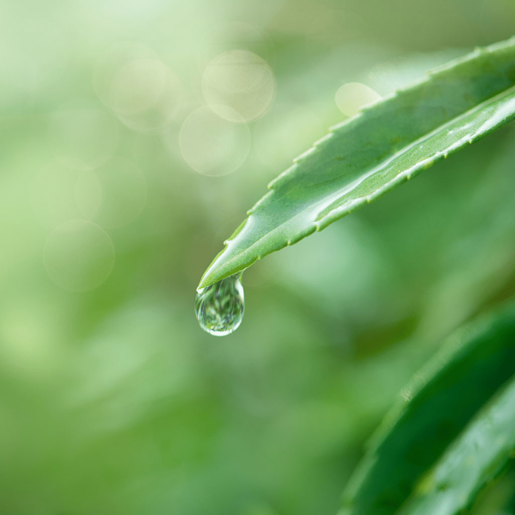 The Tears Between&nbsp;Us