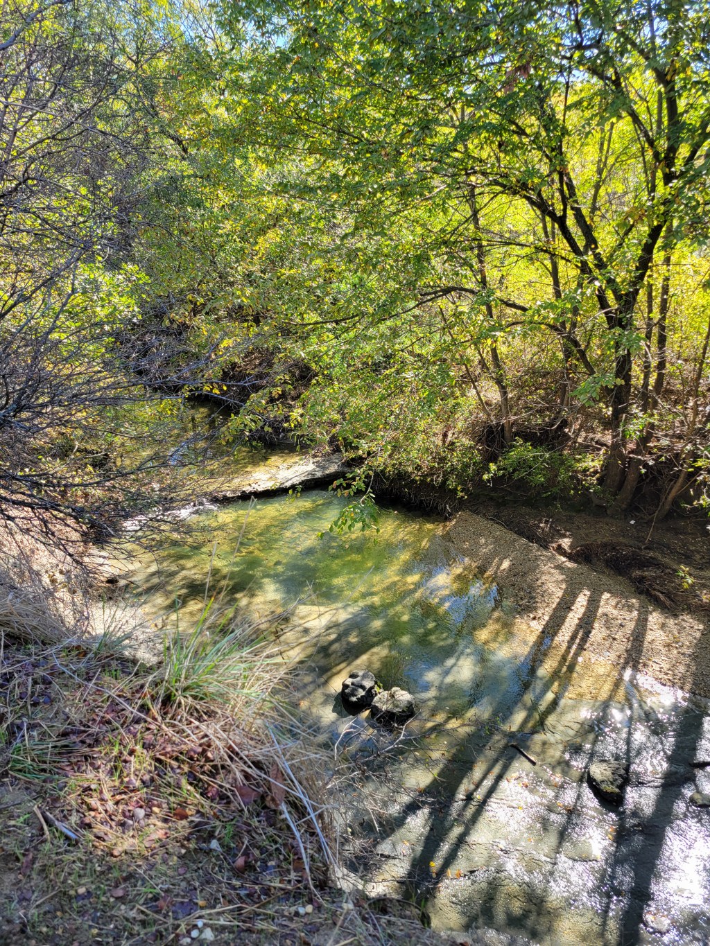 Precious Impermanence