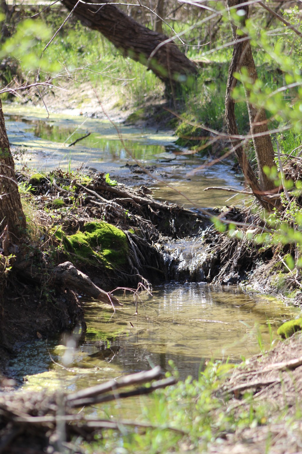 Like the Flow of the&nbsp;River