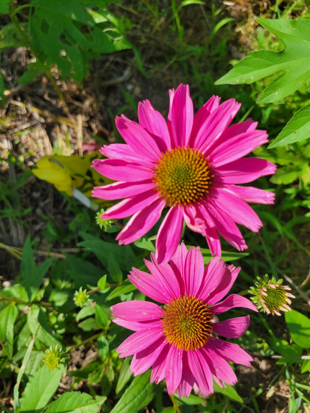 All these Small&nbsp;things