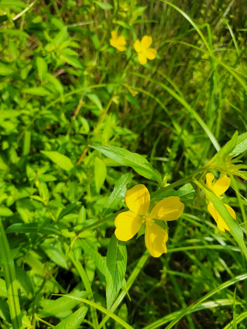 Loved with Imperfections